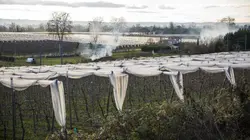 L'amour est dans le pré Les portraits (épisode 2, partie 1)