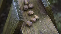 L'amour est dans le pré Episode 1