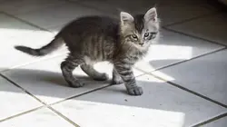 L'amour est dans le pré Episode 4