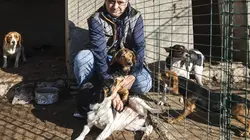 L'amour est dans le pré