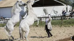 L'amour est dans le pré : Que sont-ils devenus ?