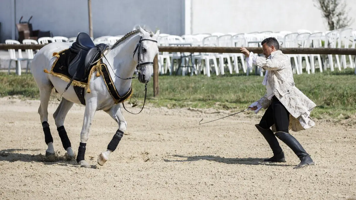 L'amour est dans le pré : Que sont-ils devenus ? S18E02