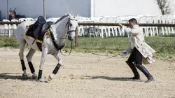 L'amour est dans le pré : Que sont-ils devenus ?
