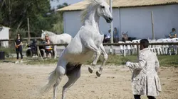L'amour est dans le pré : Que sont-ils devenus ?