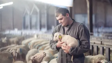 L'amour est dans le pré S20E01 Les portraits