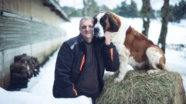 L'amour est dans le pré S20E06