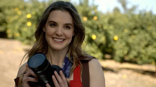 L'amour sous le citronnier