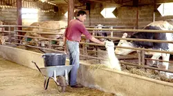 Sur TV5MONDE à 23h03 : L'amour vache