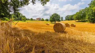 Replay du programme L'amour vu du pré