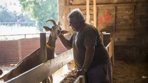 L'amour vu du pré Episode 9
