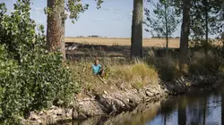 Visuel de L'amour vu du pré