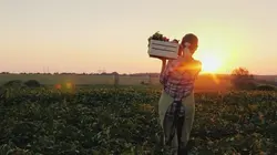 Sur M6 à 23h05 : L'amour vu du pré