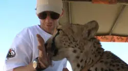 Visuel de L'ange gardien du Karoo