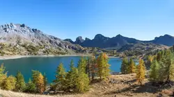 L'Anneau - Qui en sortira vainqueur ?