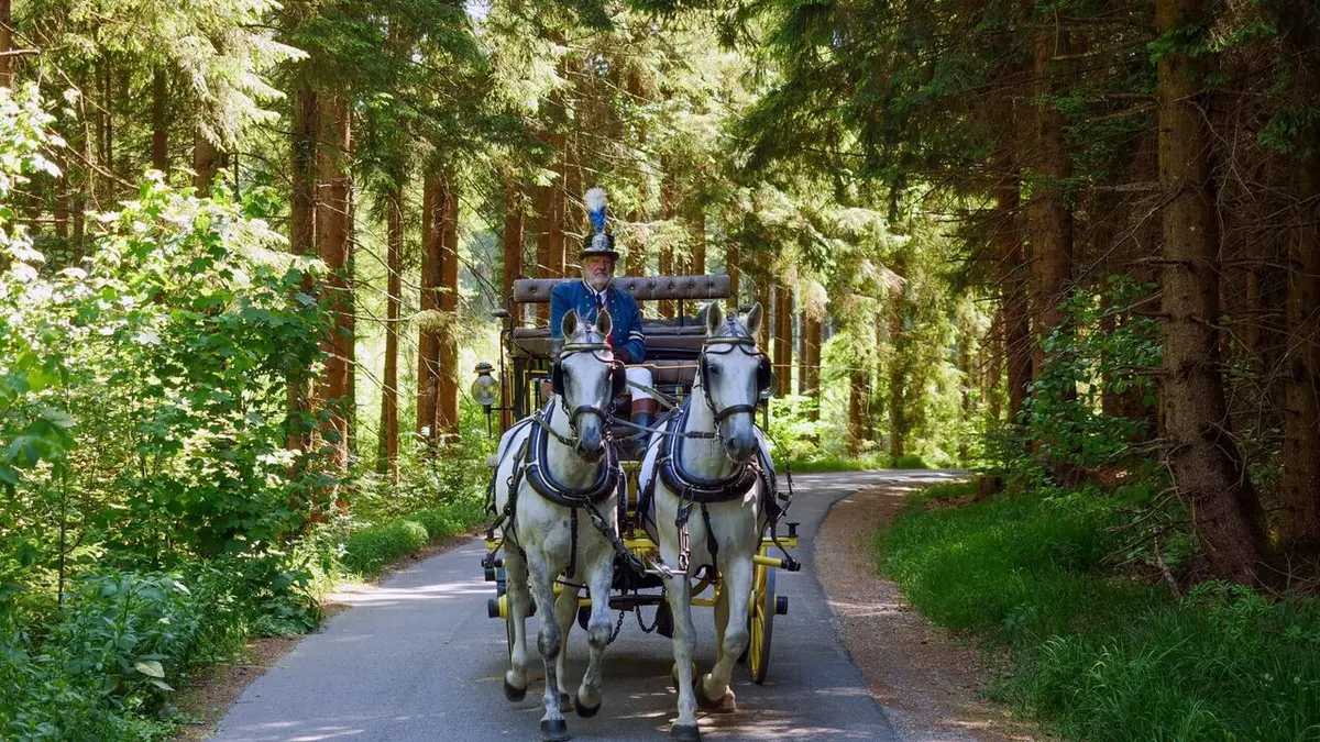 Lʹannée des dimanches sans voiture : Le choc pétrolier de 1973
