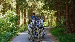 Lʹannée des dimanches sans voiture : Le choc pétrolier de 1973
