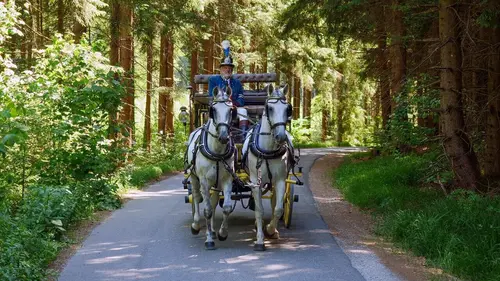 Lʹannée des dimanches sans voiture : Le choc pétrolier de 1973