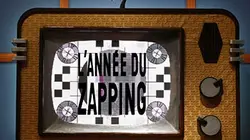 Visuel de L'année du zapping 2014