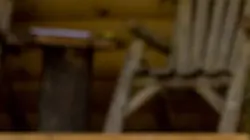 L'appel de la forêt