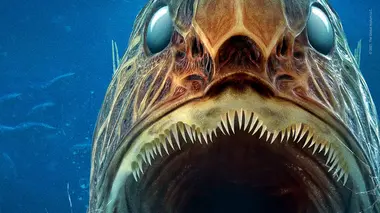 L'aquarium de la mort (2021)