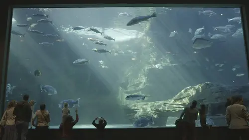 L'aquarium du bout du monde S01E03 Le clan des manchots