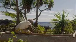 Visuel de L'arbre et la pirogue