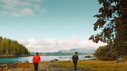 Visuel de L'arbre qui cache la forêt