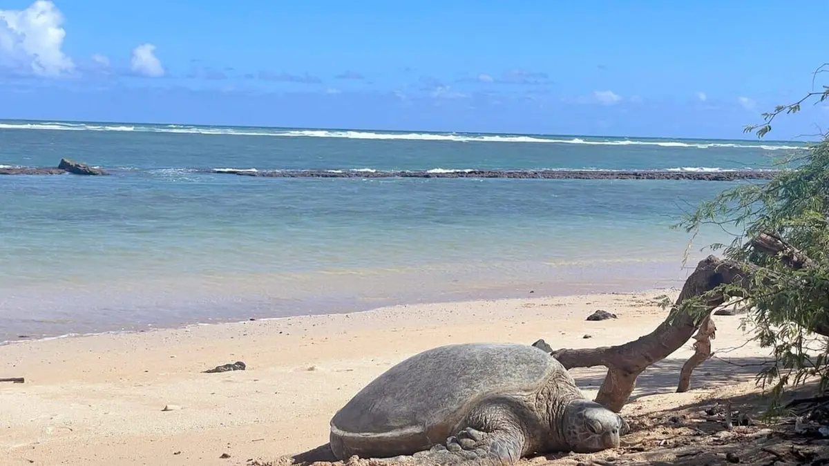 L'archipel d'Hawaï Maui et Molokai