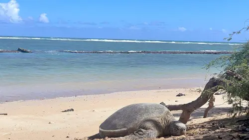 L'archipel d'Hawaï Maui et Molokai