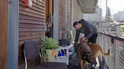 L'architecture au service de la société