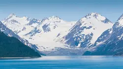 L'Arctique américain, un refuge en danger