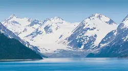 L'Arctique américain, un refuge en danger