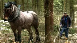 Visuel de L'Ardennais