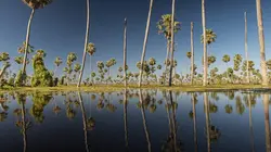 Visuel de L'Argentine sauvage