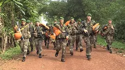 L'armée française dans l'enfer de la jungle