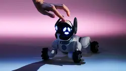 L'art a du chien et du chat