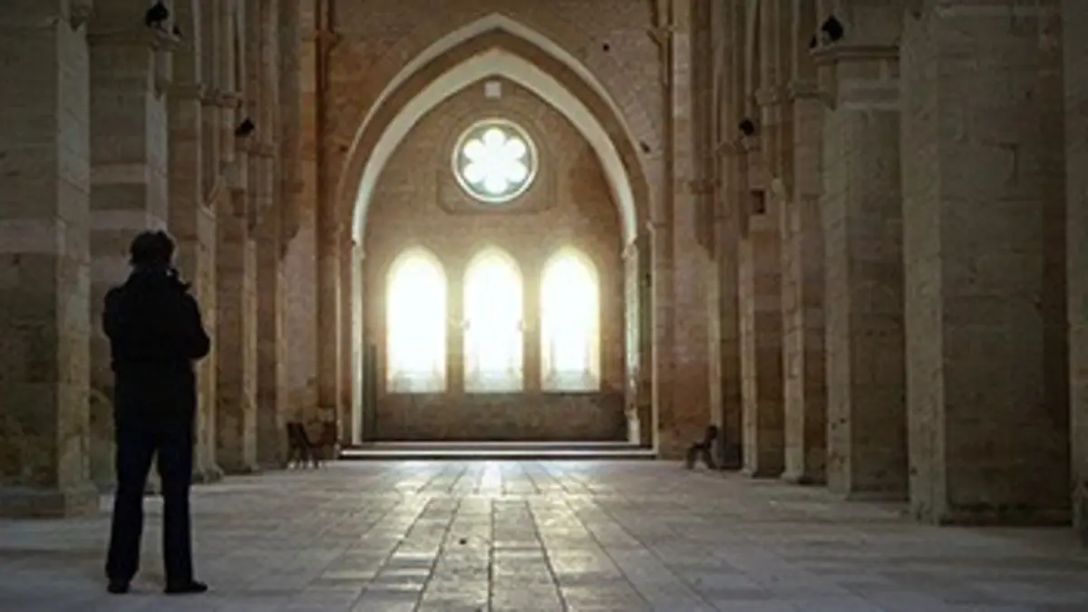 L'art du contre-jour