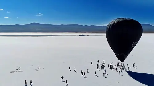 L'art face à l'urgence climatique