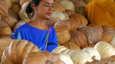 Petrolina : l'eldorado vert