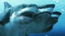 L'attaque du requin à cinq têtes
