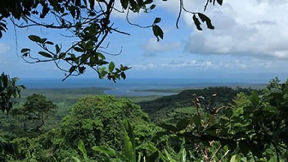 L'Australie et ses parcs nationaux E04 La forêt tropicale
