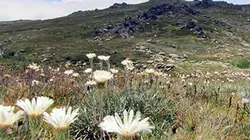 Sur Ushuaïa TV à 22h15 : L'Australie et ses parcs nationaux