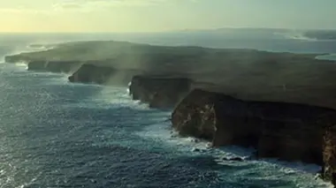 La côte des requins-baleines