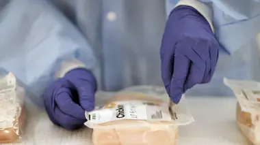 L'autre pandémie : la résistance aux antibiotiques