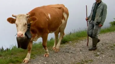L'autre versant de Gstaad