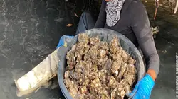 L'autre voyage Sénégal, un delta pour la vie