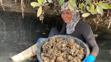 Sénégal, un delta pour la vie