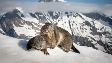 L'empreinte des glaciers