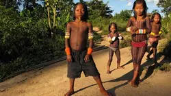 Visuel de L'aventure amazonienne