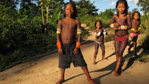 L'aventure amazonienne E06 Menaces sur la forêt